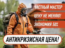 Обработка участка от клещей и комаров Казань