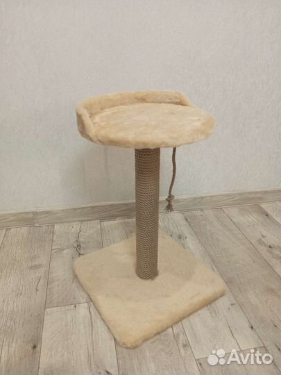 Когтеточка для кошки