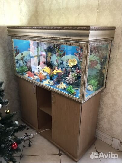 Сюда все вопросы про дом и аквариум