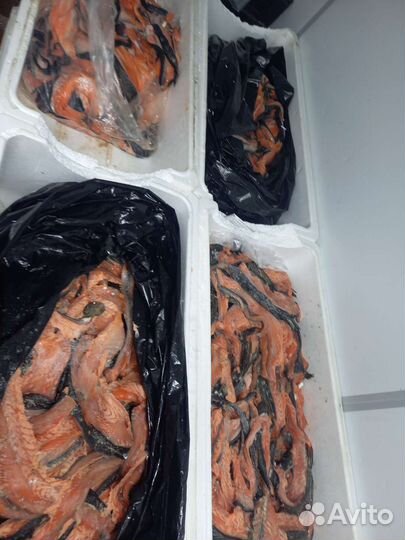 Обрезь семги