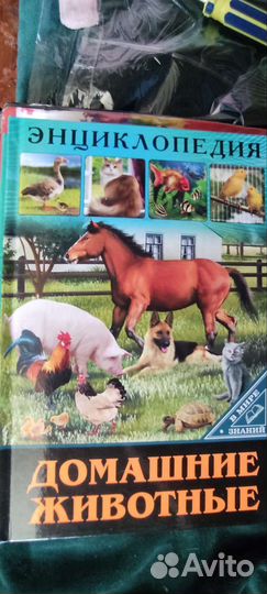 Книги детские каждая по 50