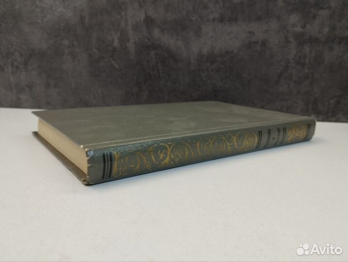 Д. Фенимор Купер. Пионеры. Рамка