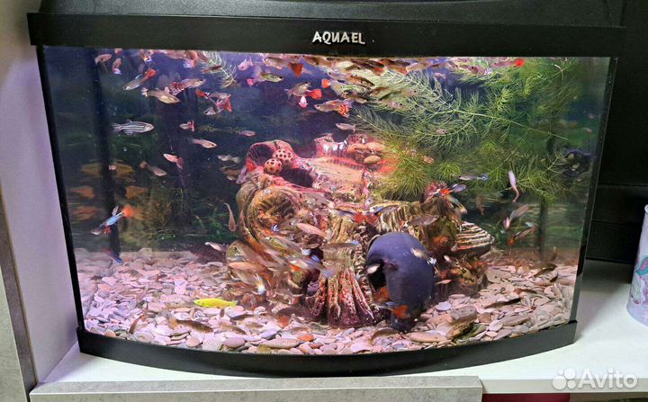 Аквариум