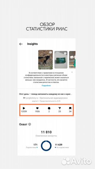 Смм/Маркетолог/SMM/Контент-съёмка