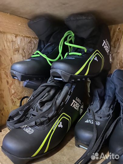 Беговые лыжи доставка бесплатно 3.03 вс