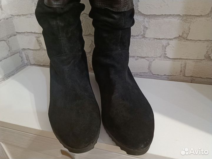Сапоги женские зимние clotilde натуральная замша