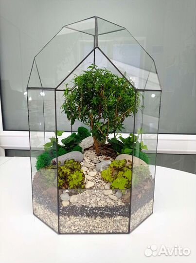 Флорариум