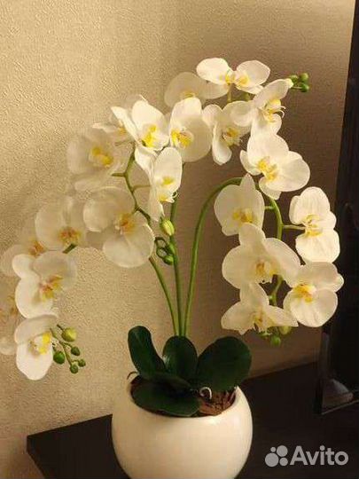 Орхидеи из полимерной глины