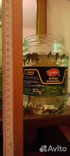 Улитки мелании