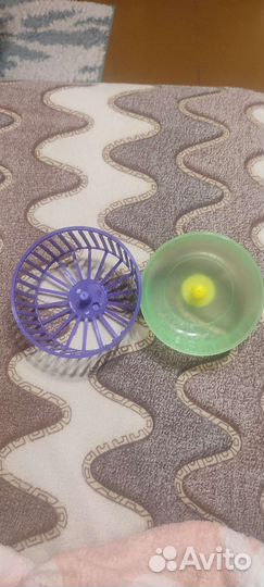 Для грызунов