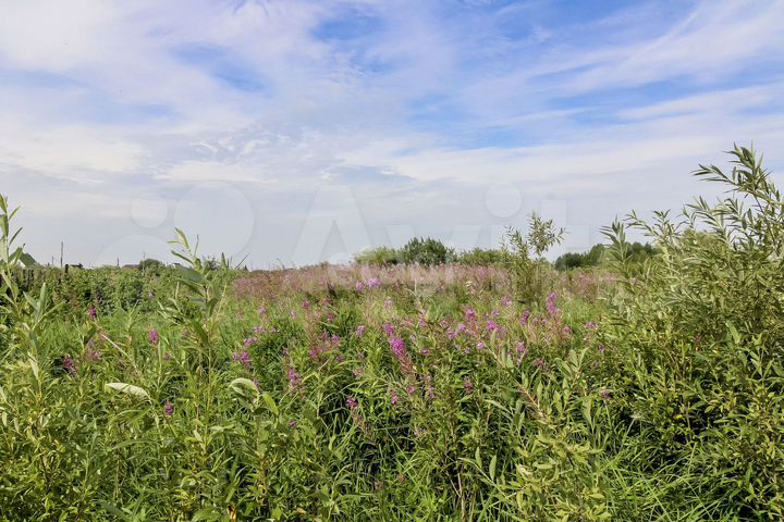 Участок 8 сот. (СНТ, ДНП)