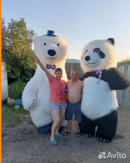 Поздравление от больших мишек