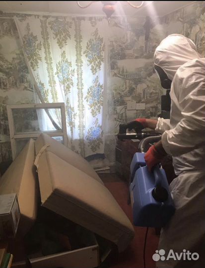 Уничтожение тараканов, клопов, блох. Дезинфекция