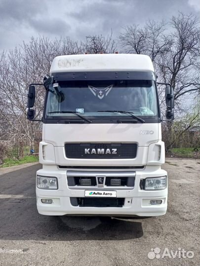 КАМАЗ 5490 NEO, 2019