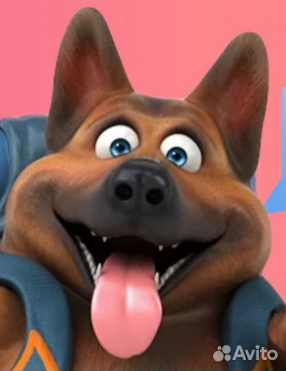 Зоотакси перевозка животных