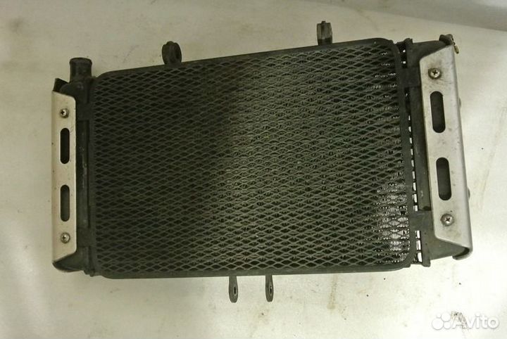 Радиатор охлажденияSuzuki Bandit250-1 90-95год N72