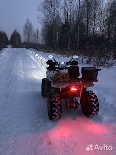 Avantis Hunter 200 new lux