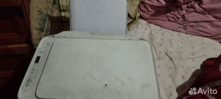 Принтер hp