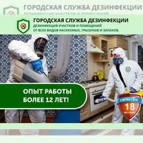 Уничтожение клопов, тараканов. Обработка участков