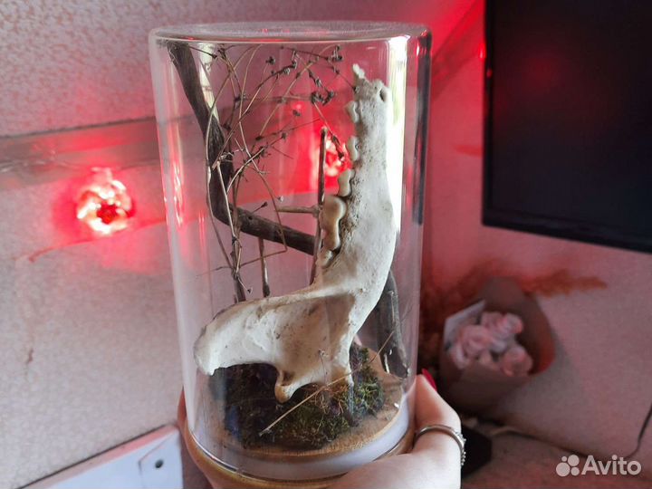 Колба с композицией внутри