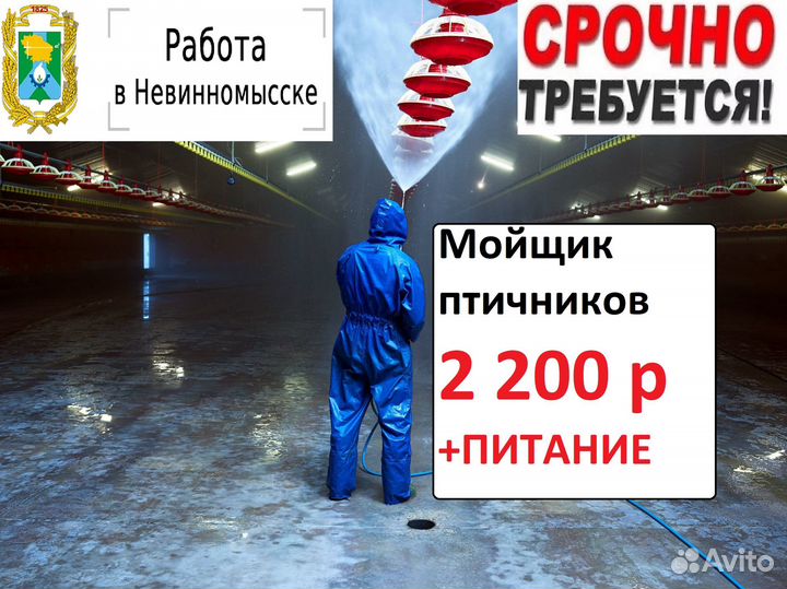 Вахта с питанием г. Невинномысск Мойщик птичников