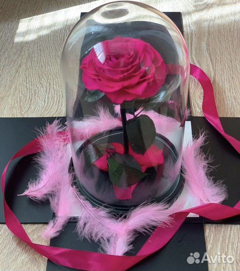 Роза в колбе