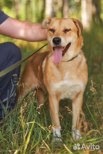 Злате нужен дом