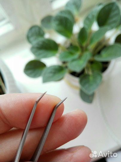 Пинцет наращивание ресниц