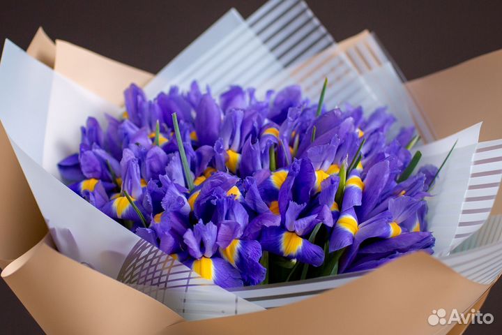 Букет из 25 ирисов