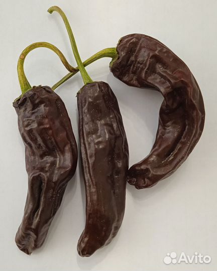 Перец слабоострый «Chile Negro» 10 семян