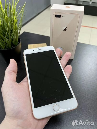 iPhone 8 Plus, 64 ГБ