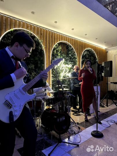 Электро гитара Jay Turser JT-300m