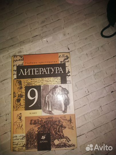 Литература 9 класс