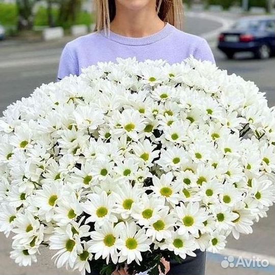 Хризантема Букеты доставка цветов