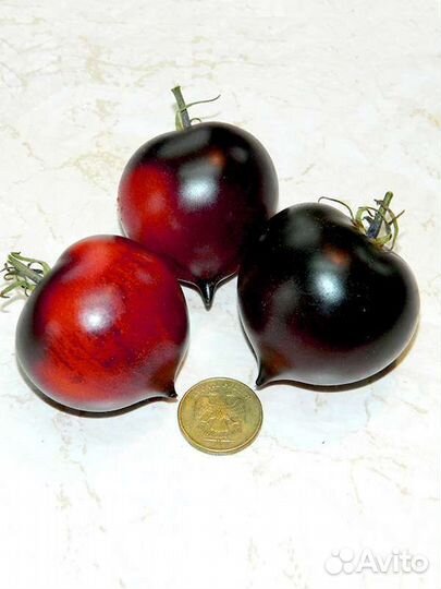 Семена коллекционных томатов