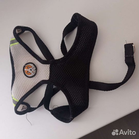 Одежда для собак, ботинки