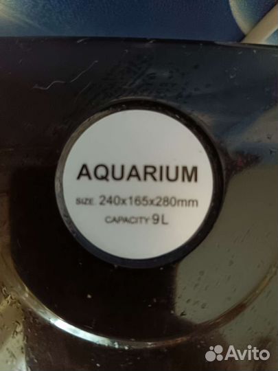 Аквариум