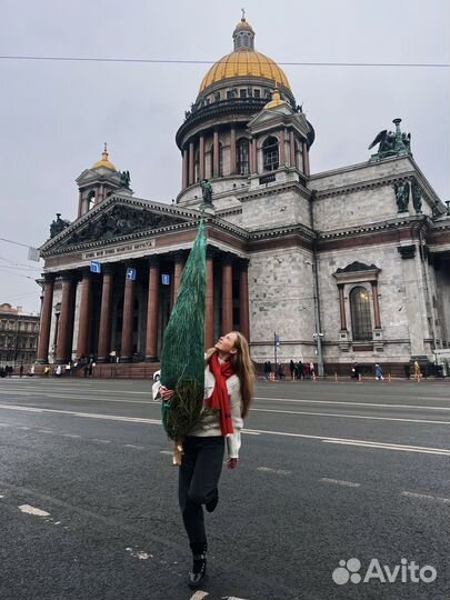 Ёлка живая из Эстонии