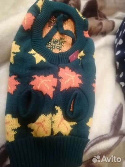 Одежда для собакт