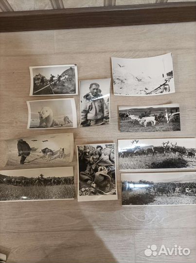 Фотографии дальнего севера