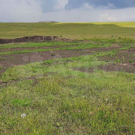 Участок 12 сот. (СНТ, ДНП)