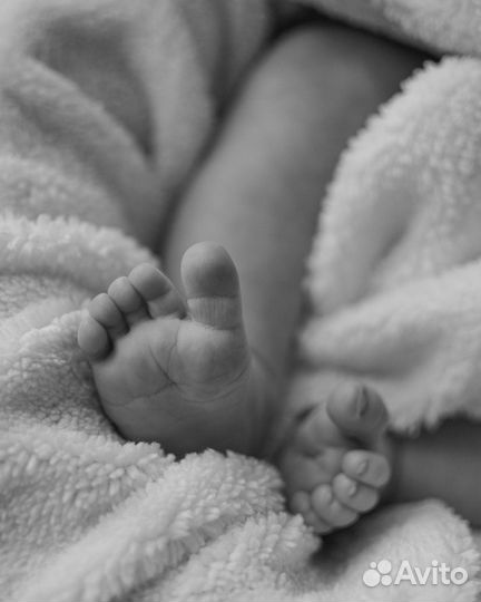 Фотограф семейный женский домашние съёмки