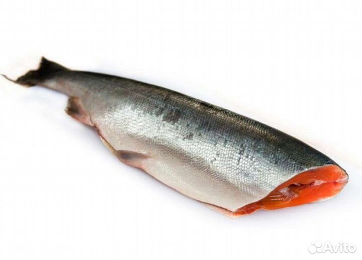 Нерка пбг рыба свежемороженая доставка