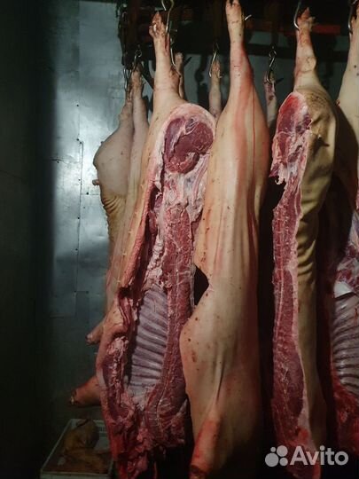 Поставка свинины, опт