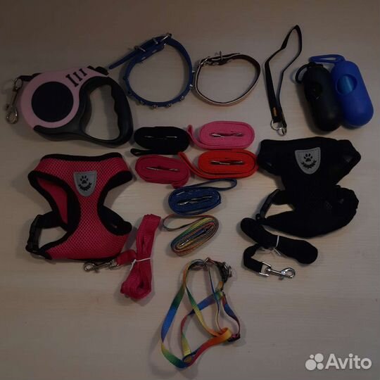 Поводки, ошейники, шлейки, аксессуары для собак