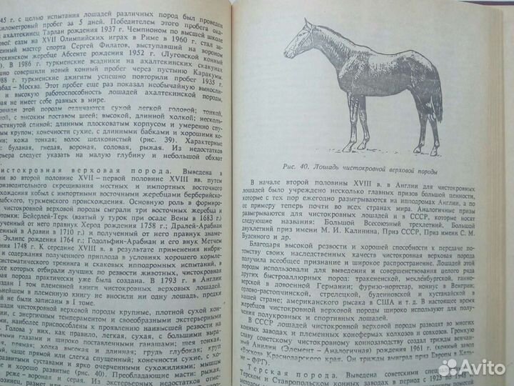 Книга по животноводству 1991г