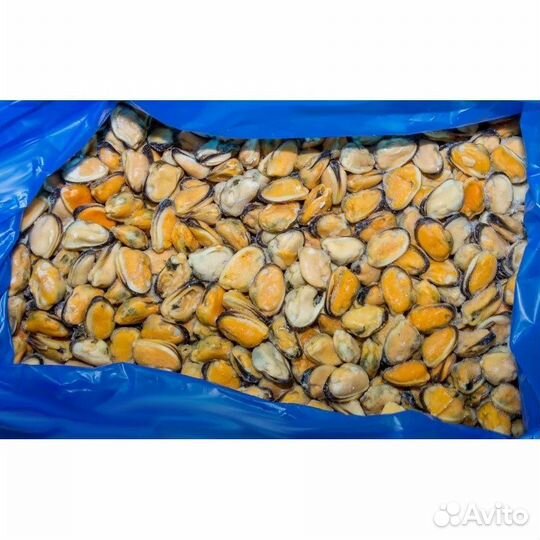 Мидия филе опт/розница