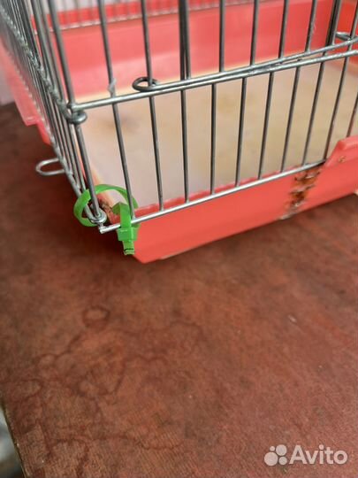 Клетка для попугая