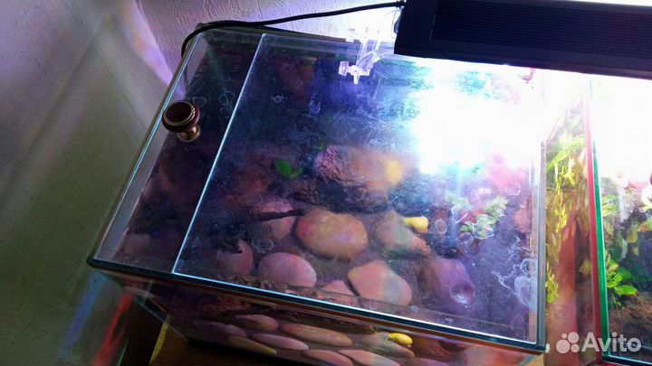 Аквариум (комплект)