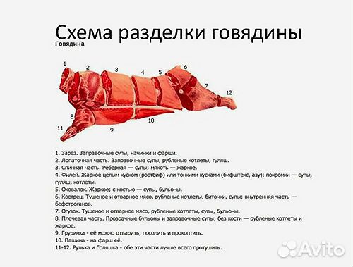 Мясо домашнее говядина